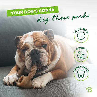 Benebone Treats Benebone Dog Chew Ring