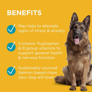 Blackmores Supplements Blackmores Complete Calm Chews for Dogs