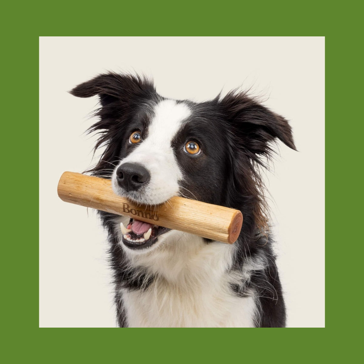 Bonno Toys Bonno The Manuka Chew for Dogs