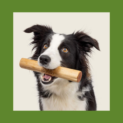Bonno Toys Bonno The Manuka Chew for Dogs