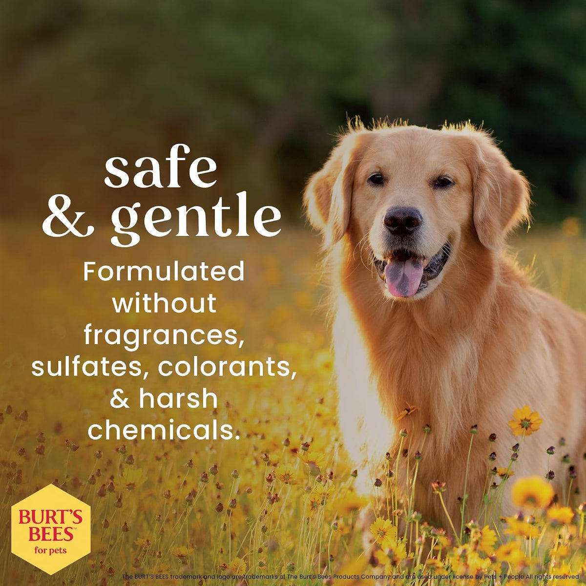 Burt's Bees Grooming Aids Burt's Bees Ear Cleaner for Dogs 118ml