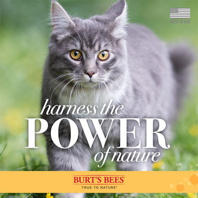 Burt's Bees Grooming Aids Burt's Bees Waterless Shampoo for Cats 296ml