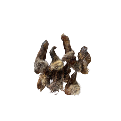 Bush to the Bowl Treats 100 % Wild NZ Possum Crackers 15 Pieces