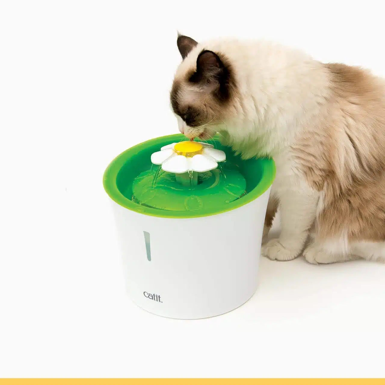 Catit bowls Catit 2.0 Flower Cat Drinking Fountain