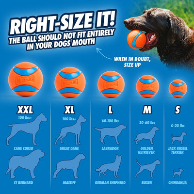 chuckit Chuckit Ultra Ball 1 Pack