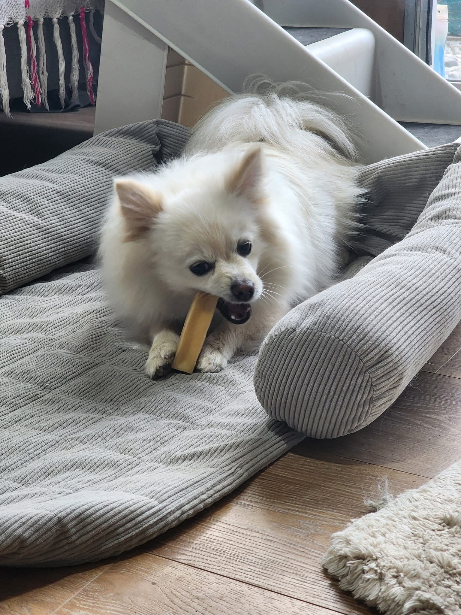 chuur Treats Himalayan Dog Chew