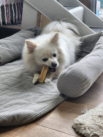 chuur Treats Himalayan Dog Chew