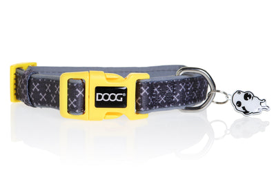 DOOG Collars / Leads DOOG Neoprene Dog Collar