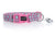 DOOG Collars / Leads S 23cm-34cm / Toto DOOG Neoprene Dog Collar