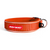 EzyDog Collars / Leads Orange / Small(34-38cm) ED Neo Collar