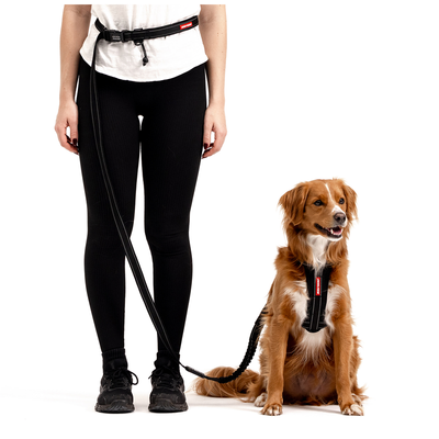 EzyDog Collars / Leads EzyDog Leash Road Runner 2.1m