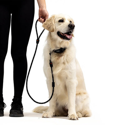 EzyDog Collars / Leads EzyDog Leash Summit Clip