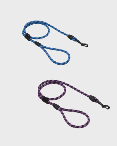 EzyDog Collars / Leads EzyDog Leash Summit Clip