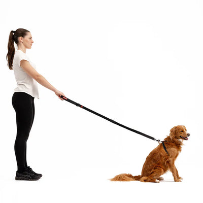 EzyDog Collars / Leads EzyDog Leash Zero Shock 120cm