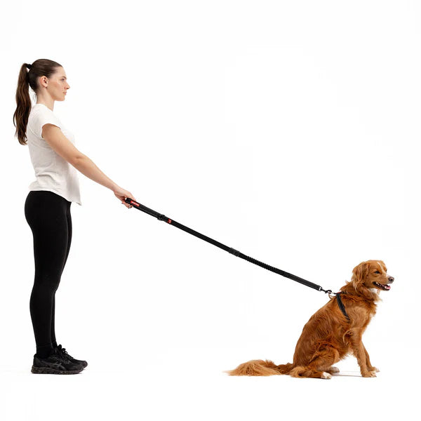 EzyDog Collars / Leads EzyDog Leash Zero Shock 120cm