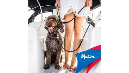 EzyDog Collars / Leads Large Clip EzyDog Marine Leash with Slip Lead Option
