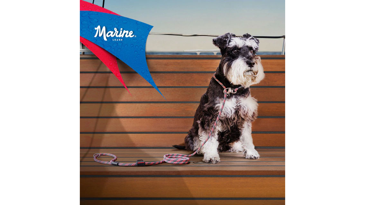 EzyDog Collars / Leads Small Clip EzyDog Marine Leash with Slip Lead Option