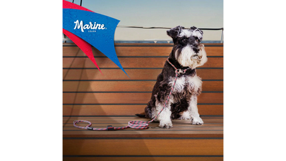 EzyDog Collars / Leads Small Clip EzyDog Marine Leash with Slip Lead Option