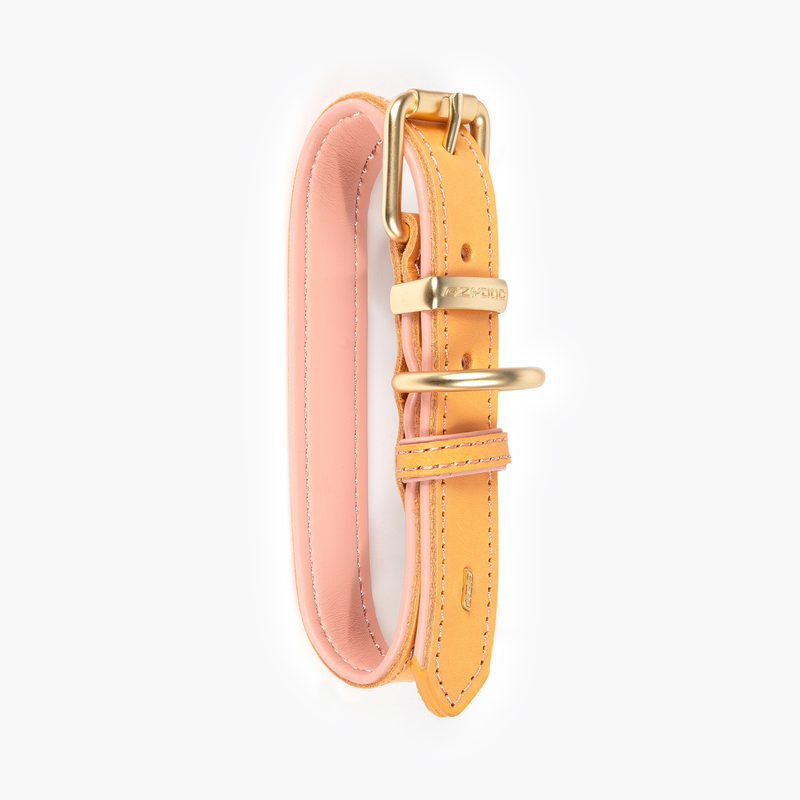 EzyDog Collars / Leads Ezydog Oxford Blush Buckle Collar