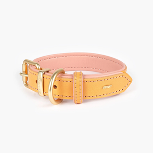 EzyDog Collars / Leads Ezydog Oxford Blush Buckle Collar