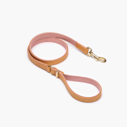EzyDog Collars / Leads 100cm Ezydog Oxford Leather Leash Blush