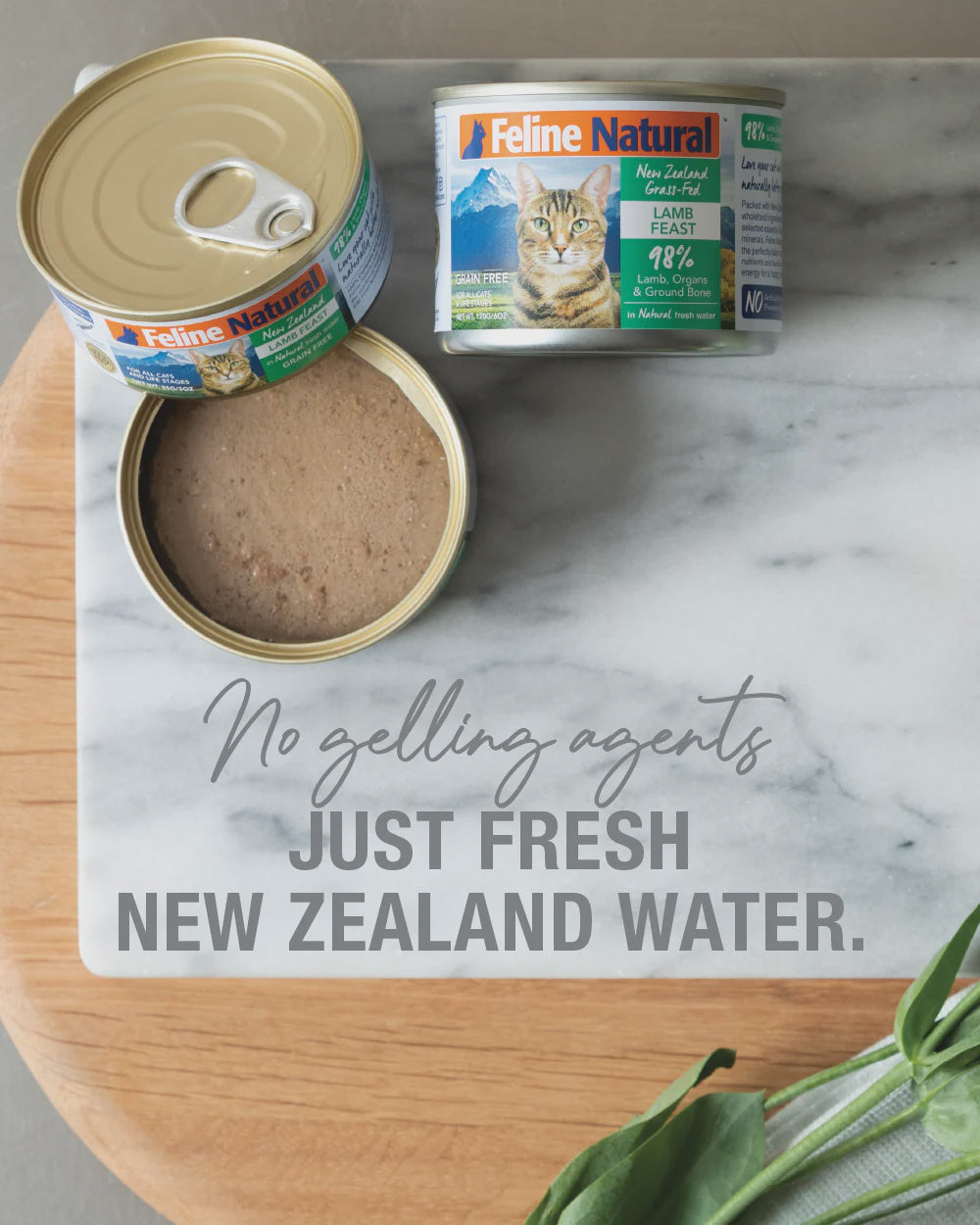 Feline Natural Canned Food Feline Natural Canned Lamb Feast 170g