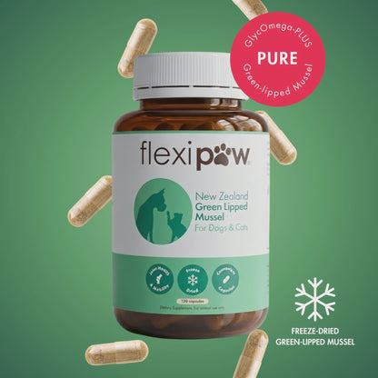 FlexiPaw Supplements FlexiPaw Green - Lipped  Mussel for Dogs and Cats