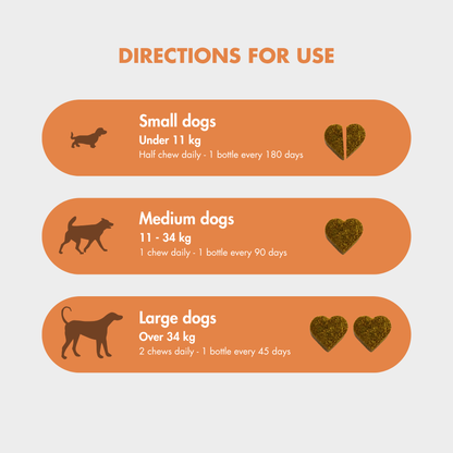 FlexiPaw Supplements FlexiPaw Probiotic Gut Health Chew for Dogs