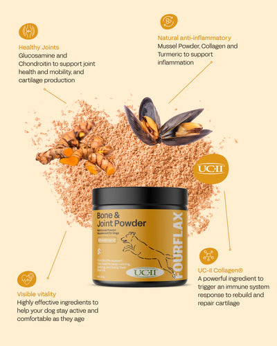 Fourflax Supplements Fourflax Bone & Joint Powder for Dogs 200g