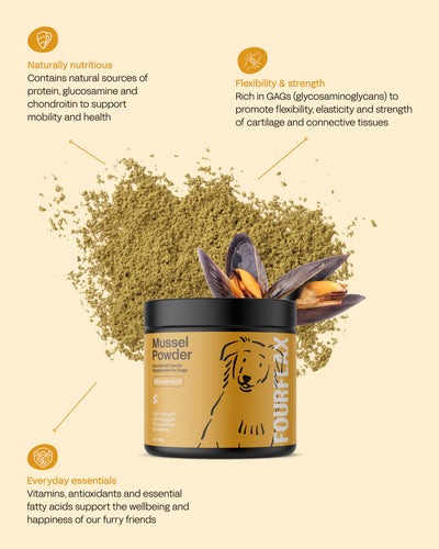 Fourflax Supplements Fourflax Mussel Powder for Dogs 150g