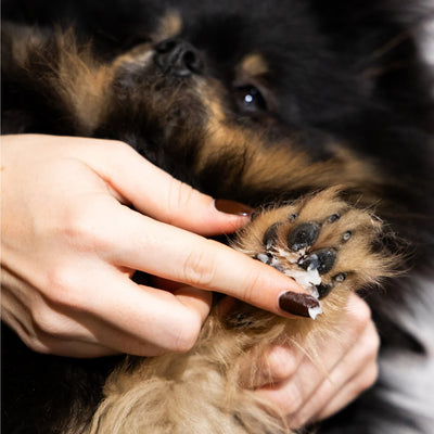 Fur Love Grooming Aids Fur Love Paws and Body Moisture Balm - 100ml