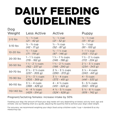 GO! Biscuits Go! Solutions Digestion + Gut Health Salmon Recipe with Ancient Grains Dog Food 1.6kg