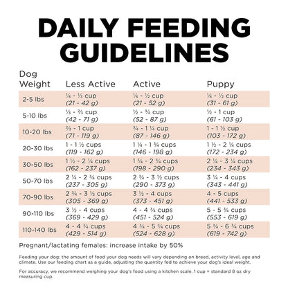GO! Biscuits Go! Solutions Digestion + Gut Health Salmon Recipe with Ancient Grains Dog Food 1.6kg