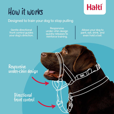 halti Collars / Leads Halti Headcollar