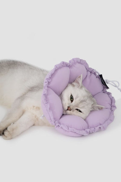 HiDream accessories Floral Elizabethan Collar Size M