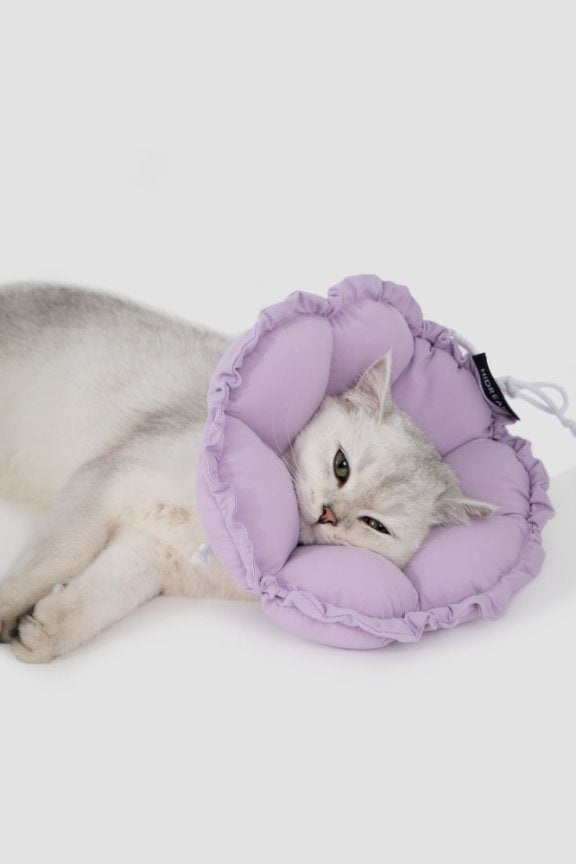 HiDream accessories Floral Elizabethan Collar Size M