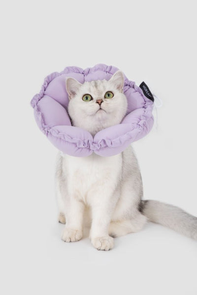 HiDream accessories Floral Elizabethan Collar Size M