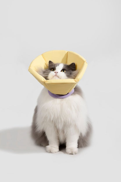 HiDream accessories Foam Cone Elizabethan Collar Size L