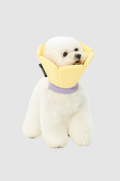 HiDream accessories Foam Cone Elizabethan Collar Size L