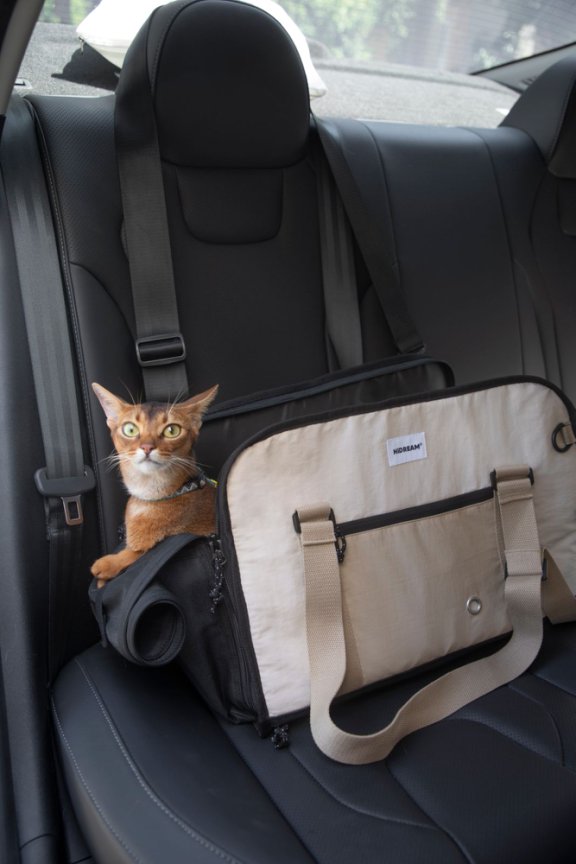 HiDream accessories HiDream Pet Tote Bag