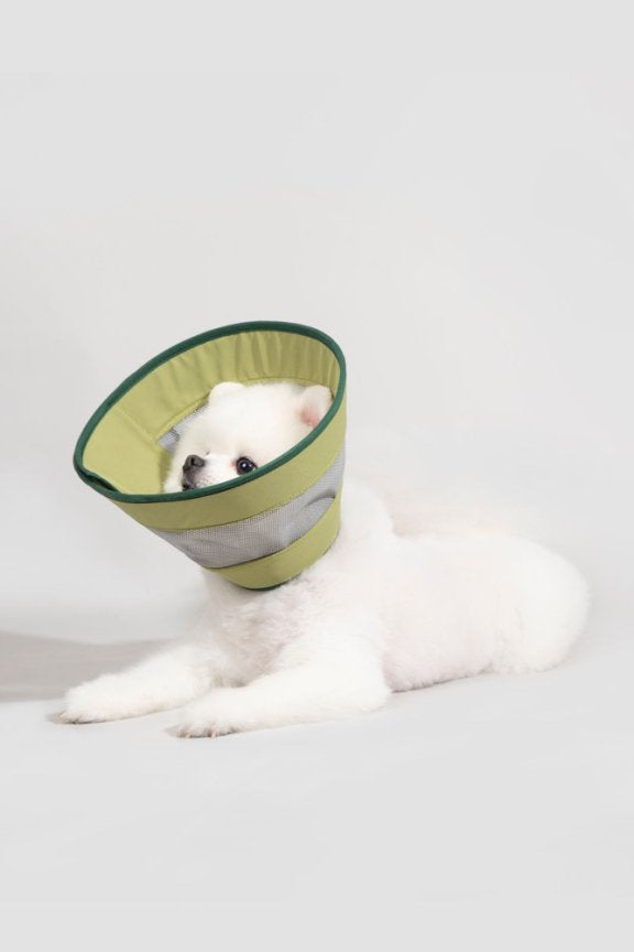 HiDream accessories Mesh Elizabethan Collar Size L