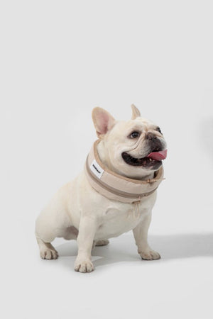 HiDream accessories Pet Cooling Neck Wrap