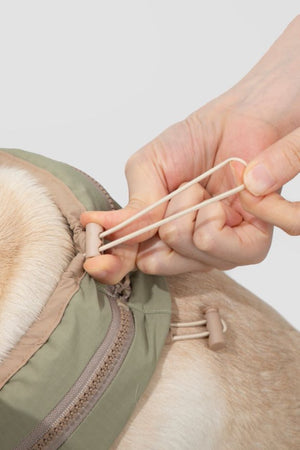 HiDream accessories Pet Cooling Neck Wrap