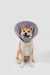 HiDream accessories "Snap-On Cone-Shaped Elizabethan Collar Size XL