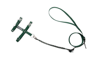 HiDream Collars / Leads Freedom Explorer Cat Harness & Leash Set