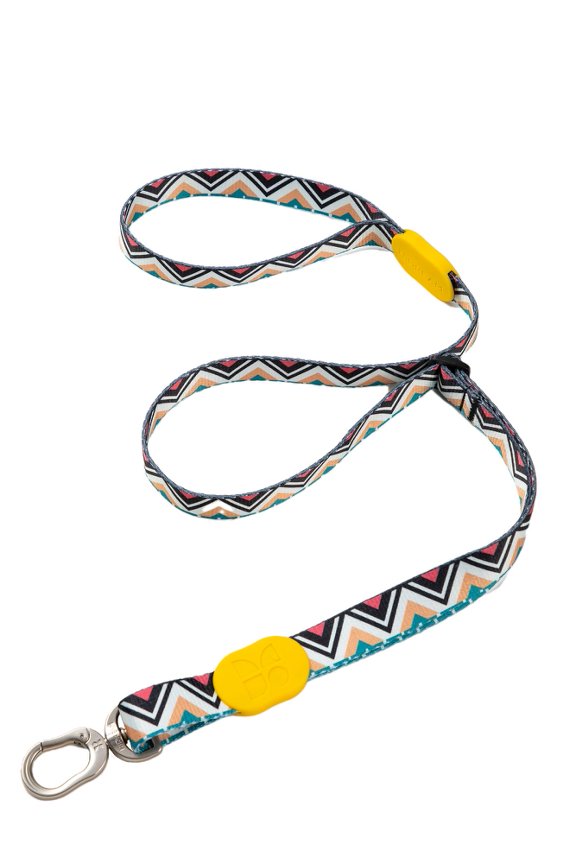 HiDream Collars / Leads Totem HiDream Color Pop Adjustable Dog Lead