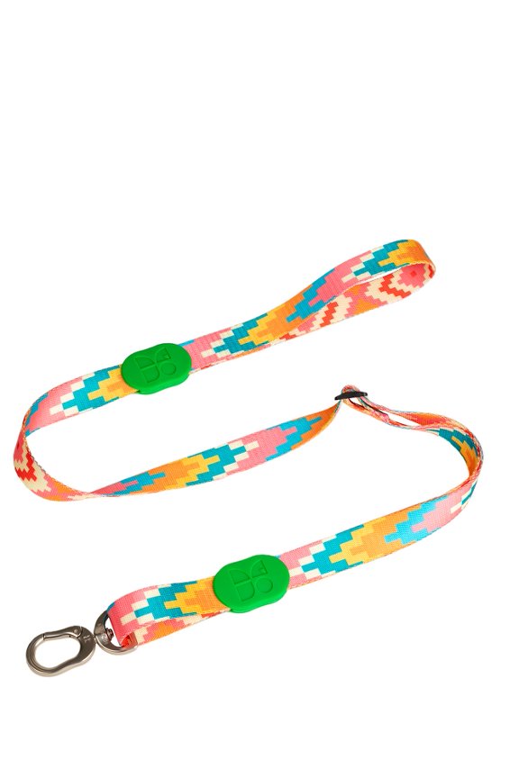 HiDream Collars / Leads Florida HiDream Color Pop Adjustable Dog Lead