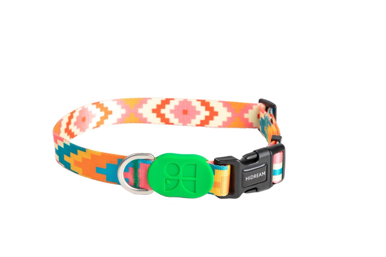 HiDream Collars / Leads Florida / S HiDream Color Pop Dog Collar