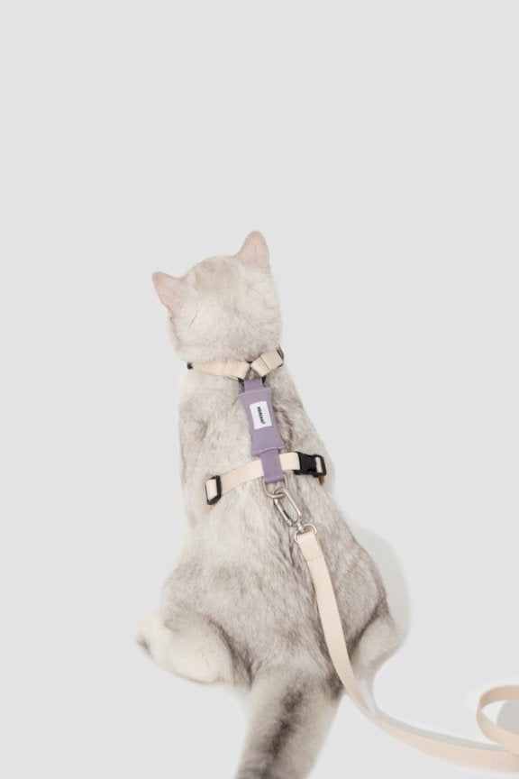 HiDream Harnesses / Haltis H-Style Cat Harness & Leash Set