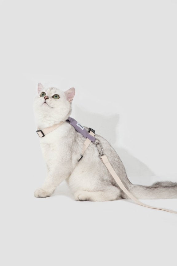 HiDream Harnesses / Haltis H-Style Cat Harness & Leash Set